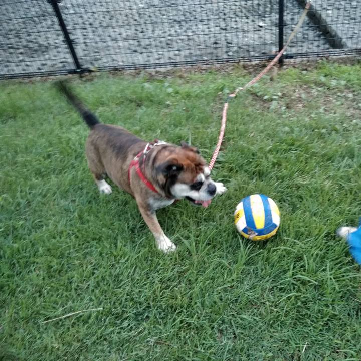 4be42538 a365 4b38 b88e a893852ac41f 1563885195348