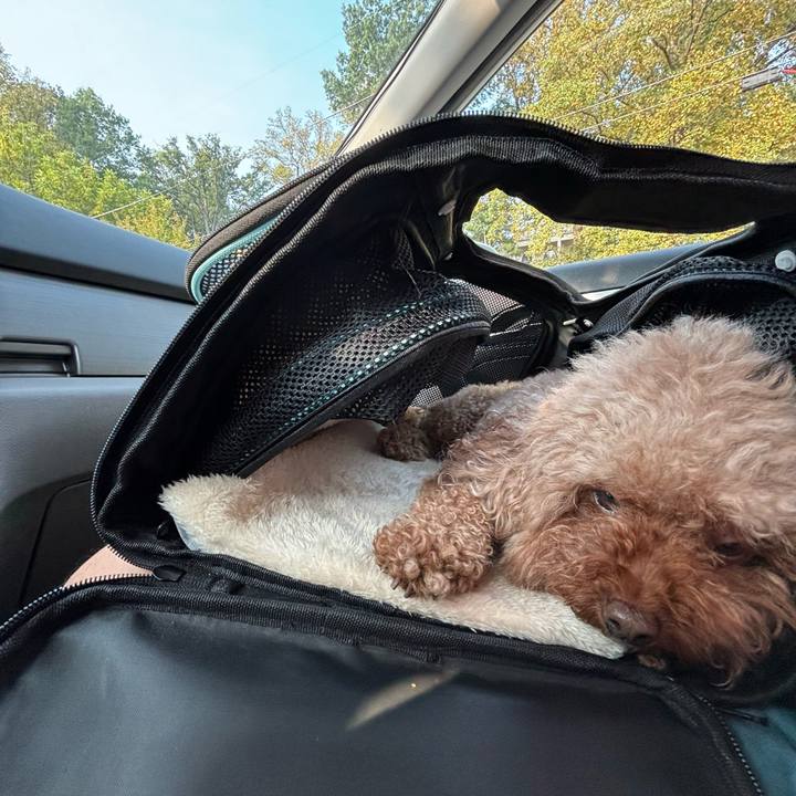 4be43eaa 70fe 4757 950b 5694d7dfeb05 1757378667522