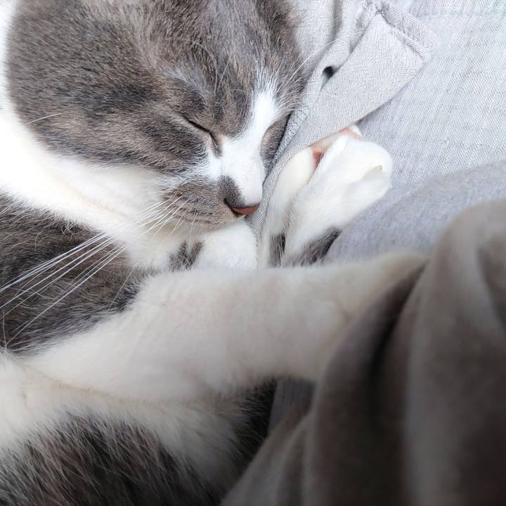 4be44dfc 3bbc 4afa b1ee 939c3181b82d 1677989288936