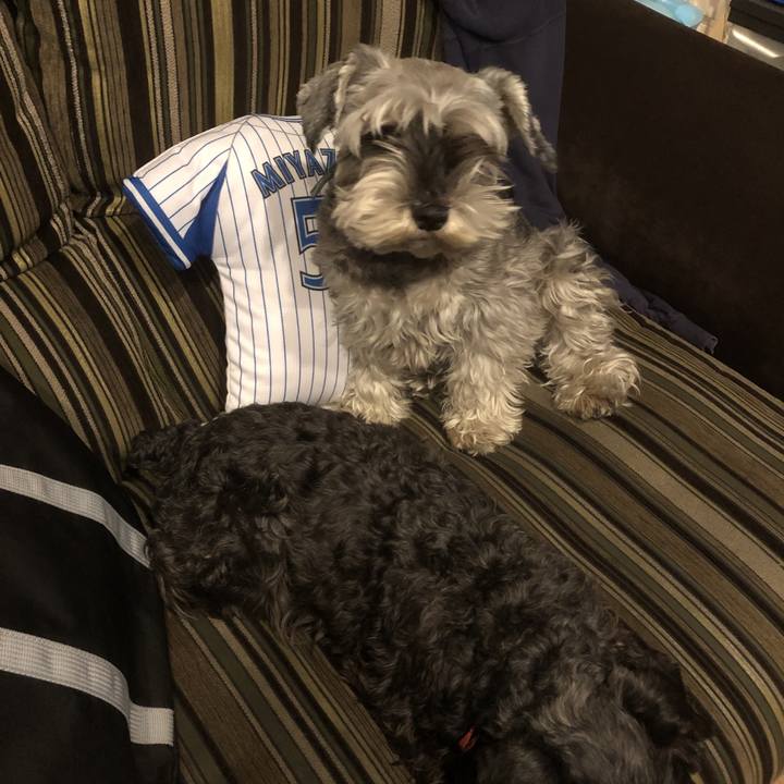 4be4748a 6a59 4c81 a911 50e4b53c289f 1553783238546