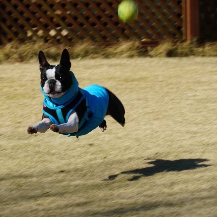 4be48d71 aee5 450e a7f8 3573938da4ac 1546677191492