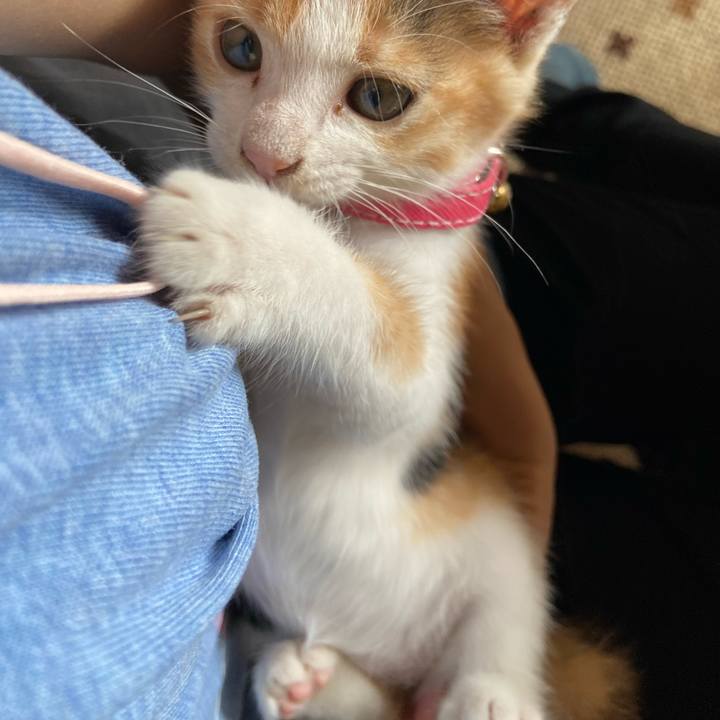 4be4b519 a6d7 42c8 8799 70898674f64c 1629432279075