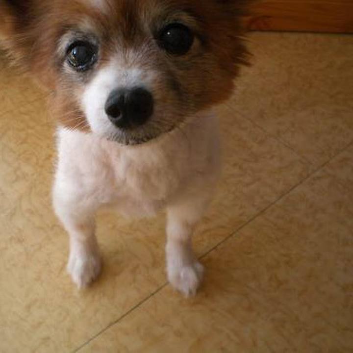 4be4bb93 0ece 480d a344 2cd5a9524920 1524192192025