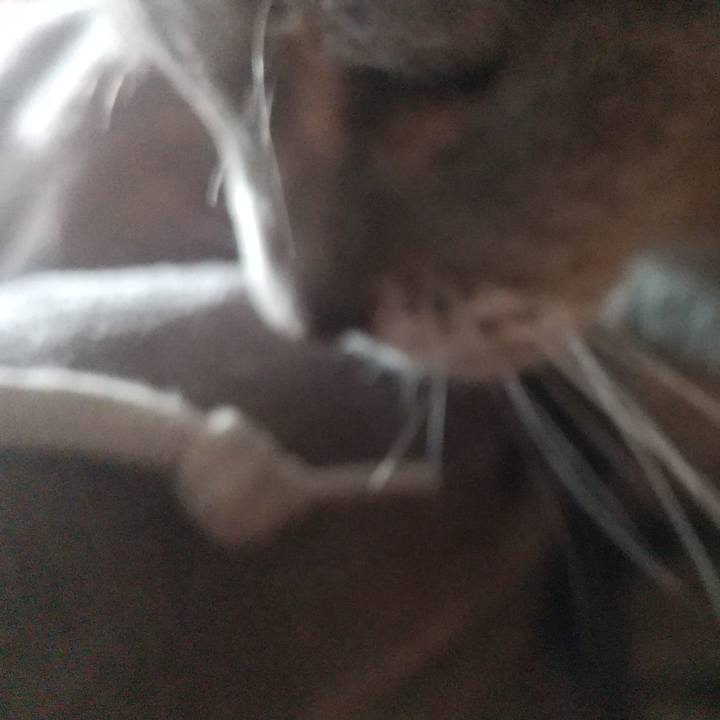 4be4feed 2653 42be b6fc 392ba4514ecd 1672541540524