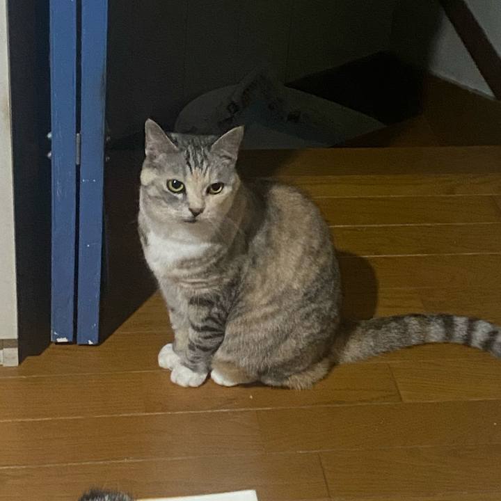 4be557d6 7f5c 4dd1 b0d2 2eb78ad5855f 1718117148776