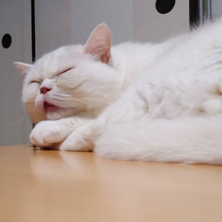 4be568d9 2874 4810 b354 c710742349a4 1663413588935