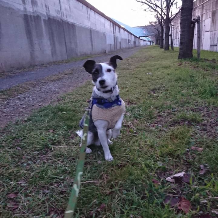 4be56c4c 2440 45d7 b153 f68f3a88182b 1514496860008