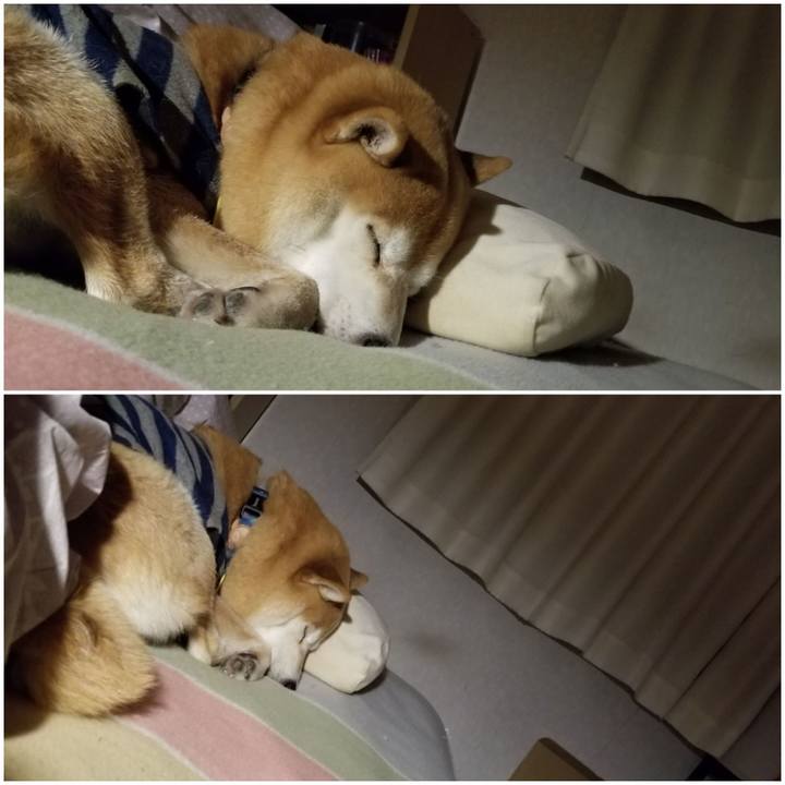 4be5751b adba 4fbb 8488 50adb625f6ca 1578236557880