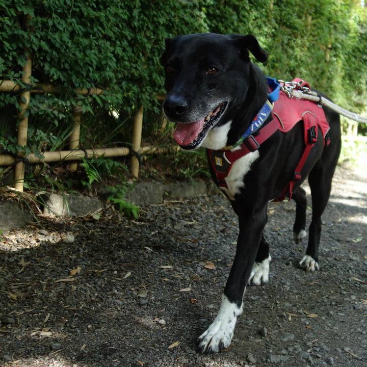 4be577b9 69d5 4629 8dd9 43867aaa5326 1685149282615