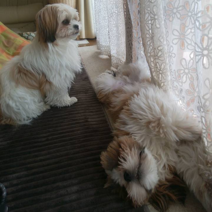 4be5c762 3eab 4d3d 8ad1 5875bbcc08c8 1550017629846