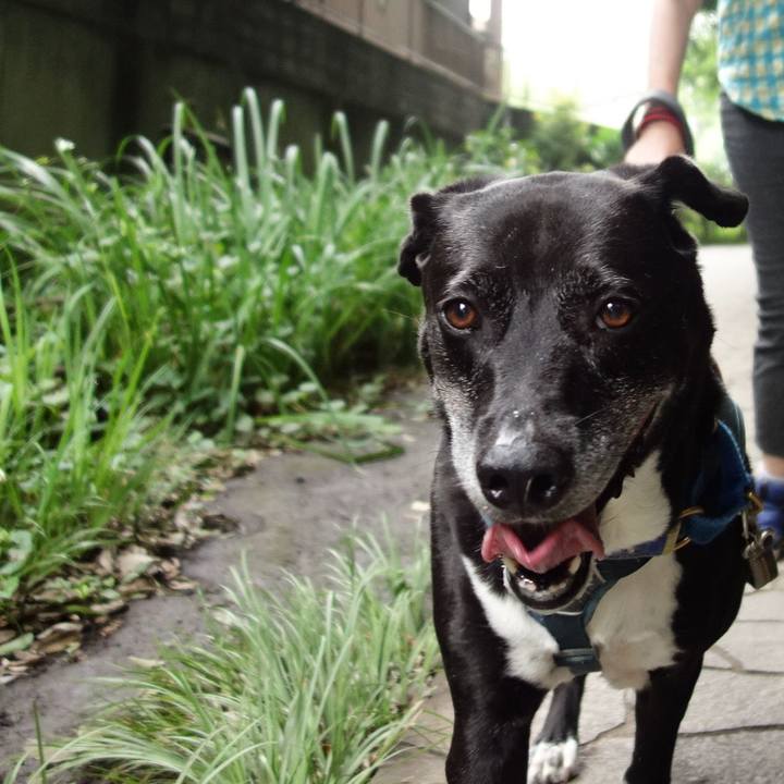 4be5cab6 c75d 4e07 8191 4967050c4801 1720916805596