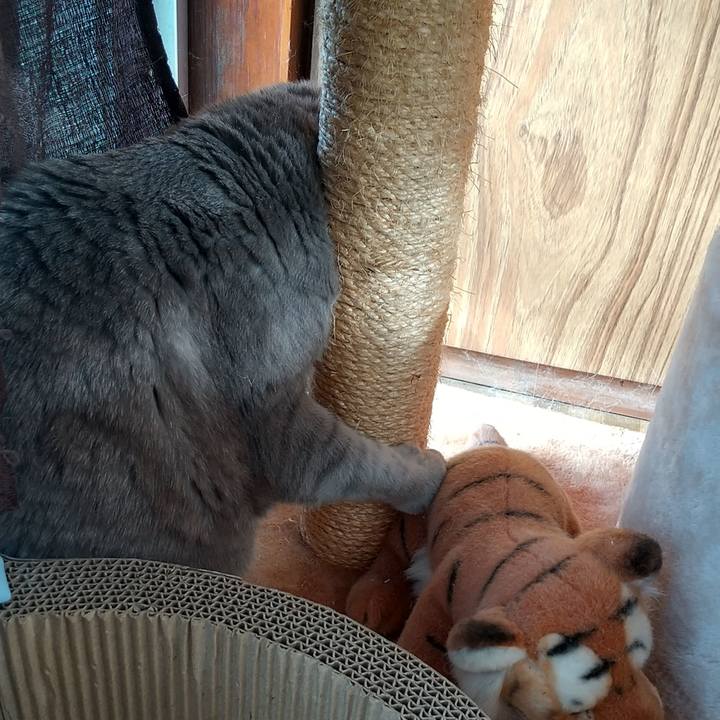 4be6013f e357 4bd0 89de ab902d8469d8 1613864465003