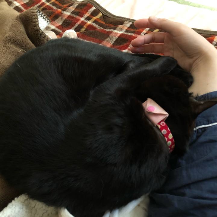 4be63e35 aea2 40d8 b29d 712f7b660f38 1607728161241