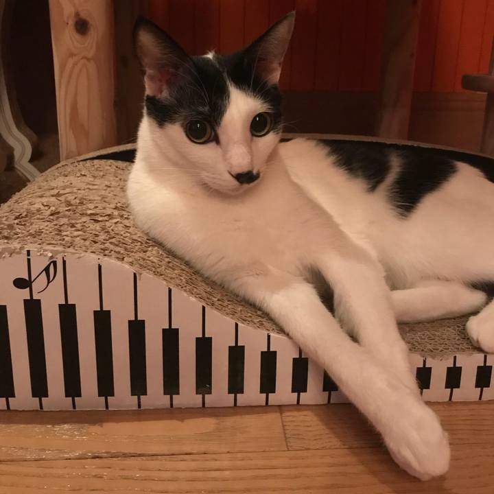 4be648a8 cf44 4595 b18c 82d6ab7a8b7d 1523200510449