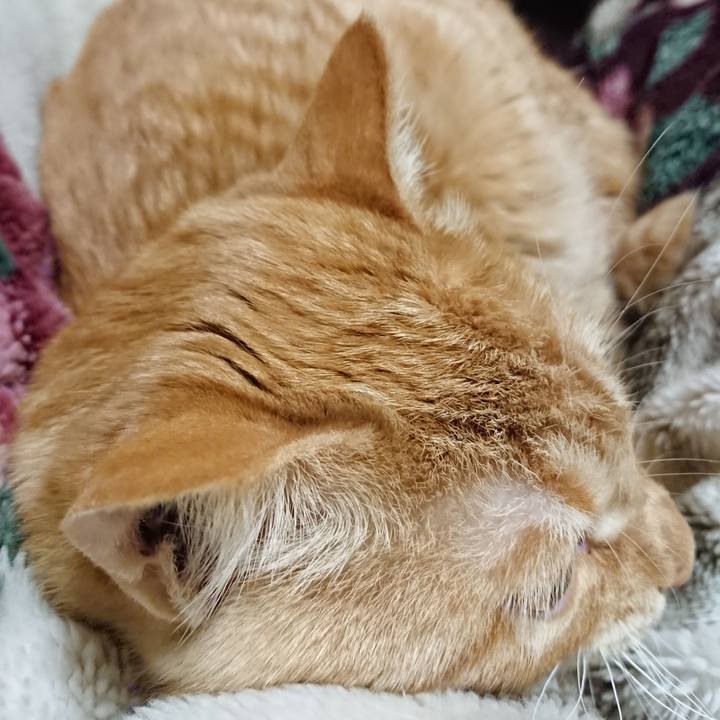 4be67250 e3ef 46c2 84f2 a7648e651546 1641992847515