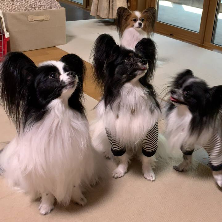 4be67cb1 123f 40de 9910 8ef2b6a6131d 1557029584576