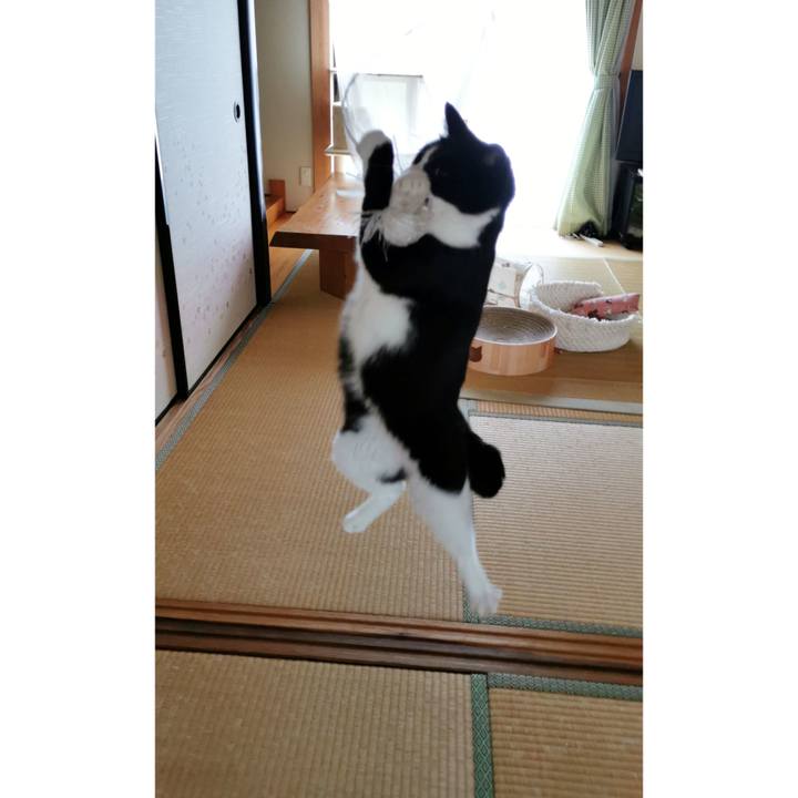 4be68a9c 7a8b 4384 abae 2474b7b528f9 1631410661807