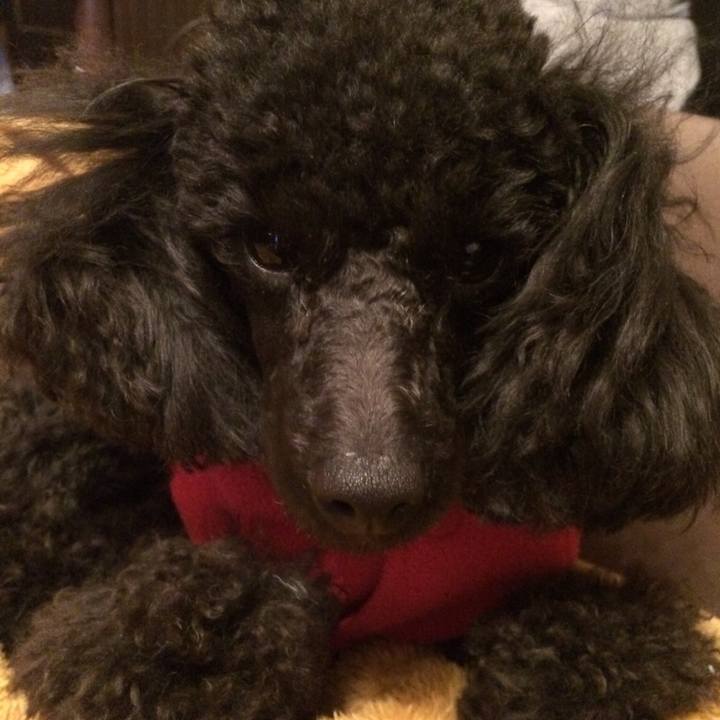 4be6bd5a 021c 46e4 9156 ed54c8822a38 1546706499020