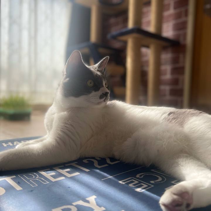 4be6c02b a768 463a a329 ff0f0997e84f 1698989685173