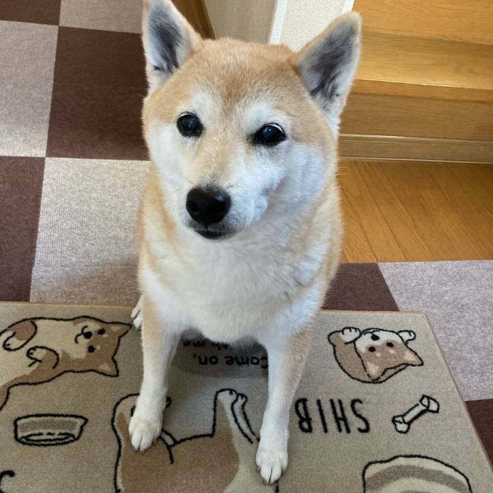 4be6c408 6502 47f2 91fd e14b258c04c2 1628169038481