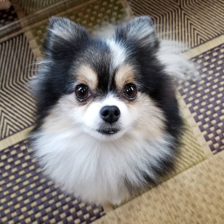 4be6e4a0 ff20 42ff abaa 6423d3887c96 1570057358240