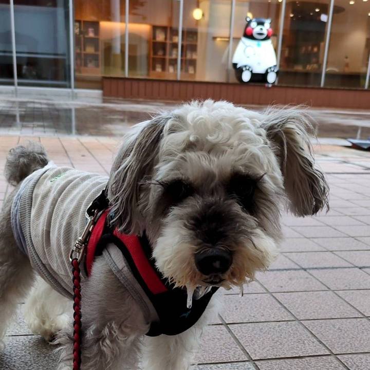 4be72ddc 3a15 40d2 89e8 302430f40d84 1750639921339