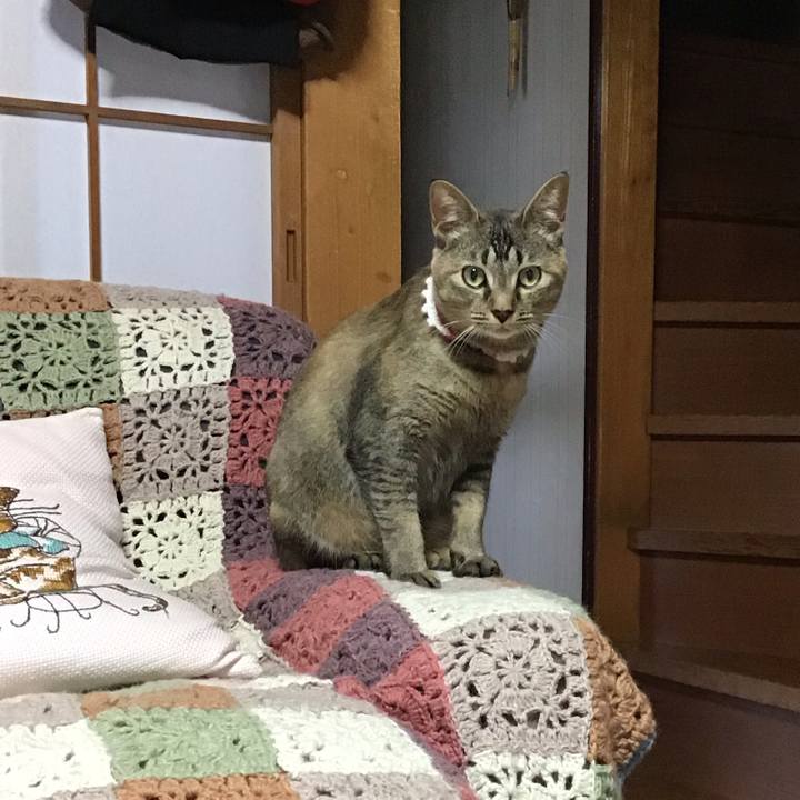 4be73c7e b9c4 497d 8376 64cdc483cbba 1593119151911