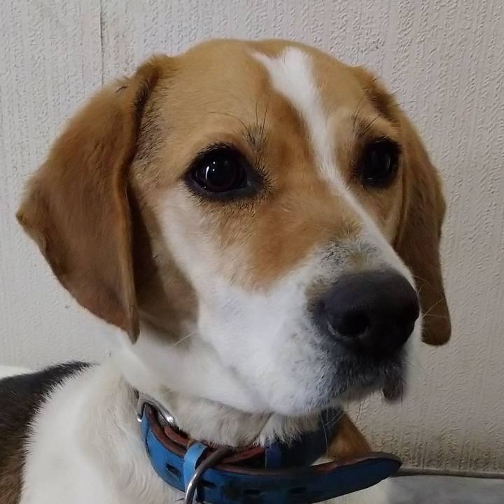 4be75c88 9353 4569 a1bf eb028c3d2f4e 1615042415280