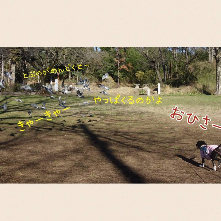 4be79b06 9559 4a92 98fd f65e6e1ec178 1709426391923