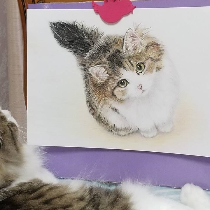 4be7aaf8 a683 46cf 8ece 93282746b97f 1595464060922