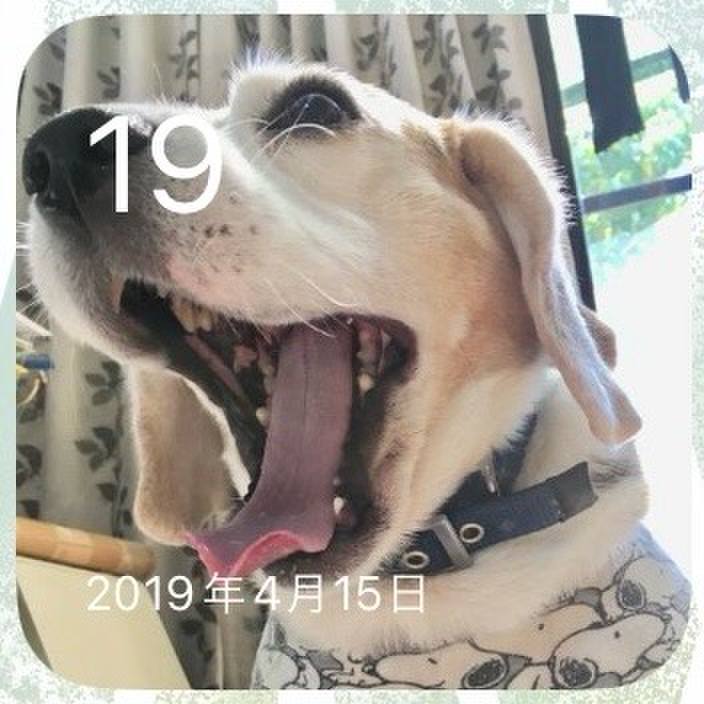 4be7ac72 0d9b 488c 80f9 79444747d4a9 1713497791627