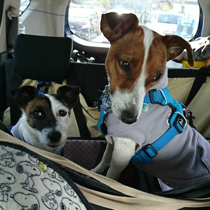 4be7b350 0094 48cd 8ad7 301e0087a282 1556490709750