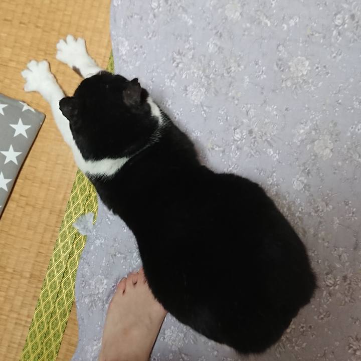 4be7e45b e0ba 4ccc a84f 6d89ffcab4a6 1584081399511