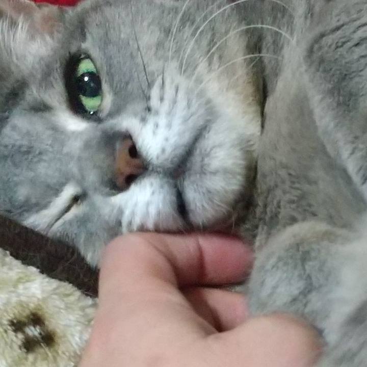 4be7f442 30ec 4170 a5e5 bd855ec9a543 1641652883256