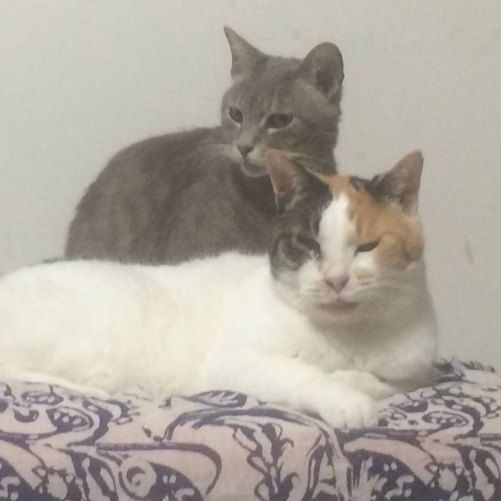 4be7fbd1 749c 4630 86e5 5de155906cb3 1559311646349