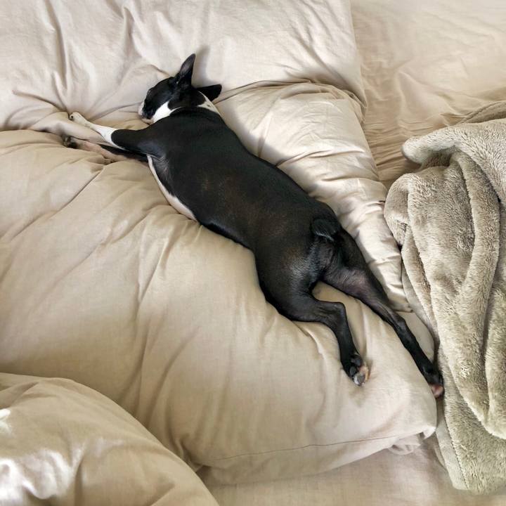 4be82567 d8b9 4664 a11f e7418f667f00 1538458733826