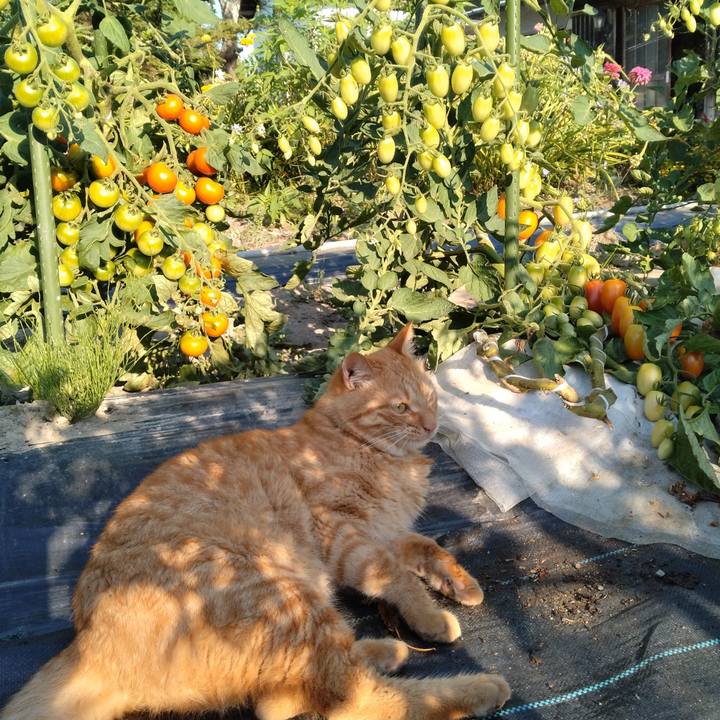 4be8259f 30bf 4d37 b2fa af07be1efed2 1690584736216