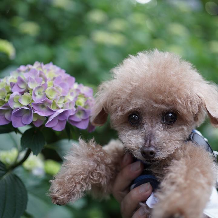 4be86997 da2b 41f4 b9bd 41a94d678258 1684847293974