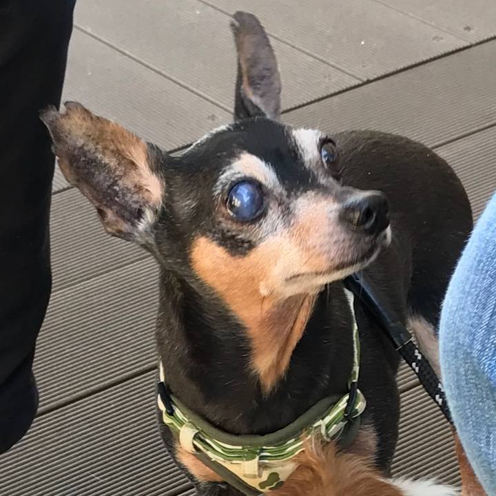 4be87db6 3a19 466d 8acd bf27a57eab15 1556800395555