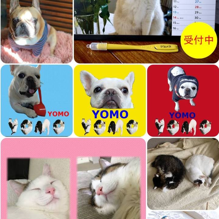 4be8db68 3e95 456e 9de4 78fb1f7240dc 1667525927671