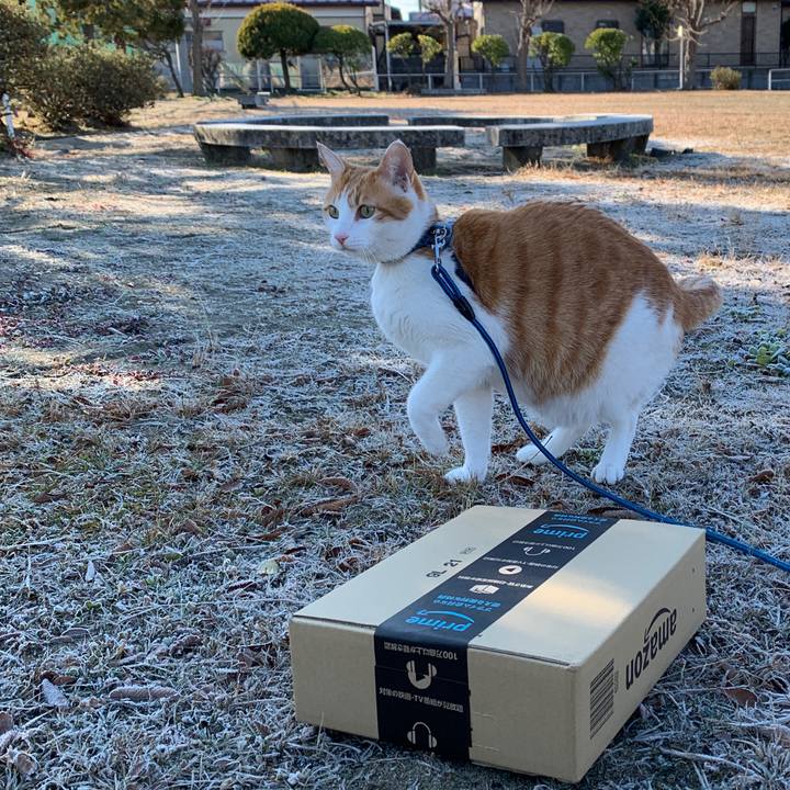 4be8e834 6385 4db8 8c5e ad1d06cc59c9 1578184913698