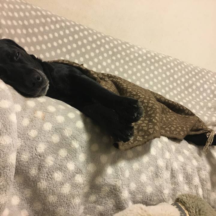 4be8edf6 de8e 488e b707 142825d87716 1511619325336