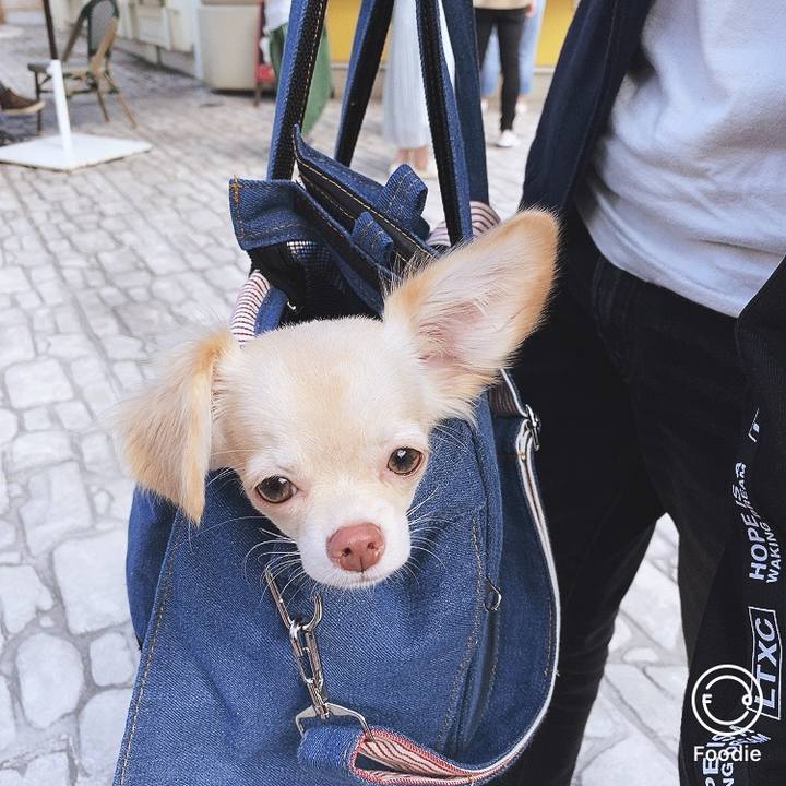 4be92285 3b8e 49b5 acd6 6a6ecdf8f976 1600673825293