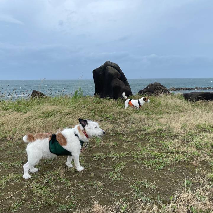 4be95531 9971 4722 9295 91ceb8c74615 1720396707662