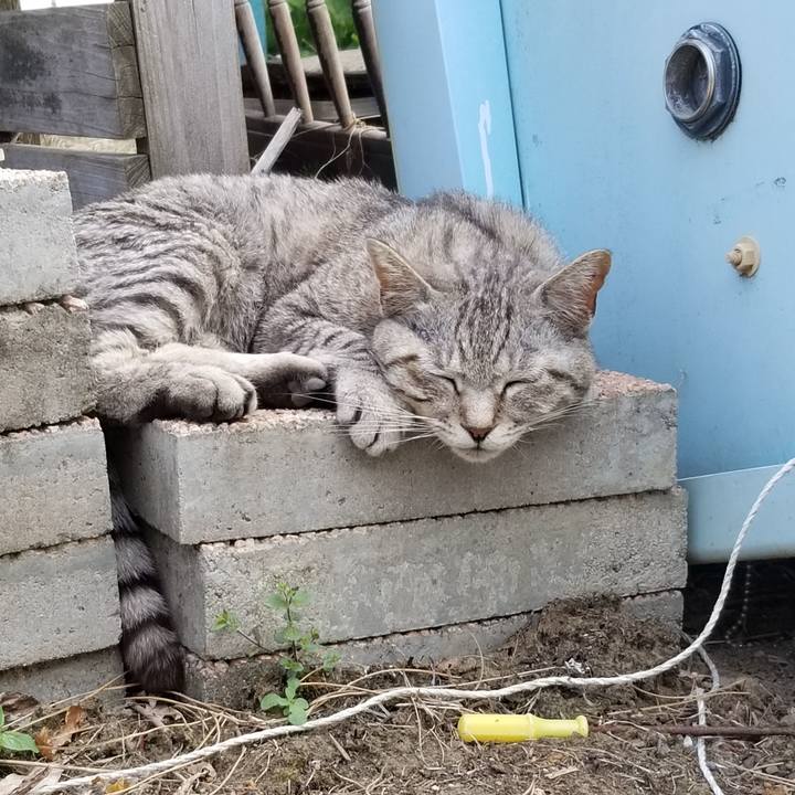 4be9721d 87de 40c5 a753 773460e94c5e 1653574874607