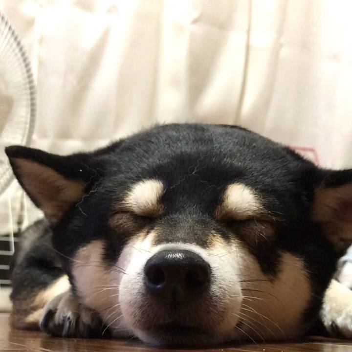 4bea17ec a1aa 4e5a 93fa 4199d2255efd 1539779656169