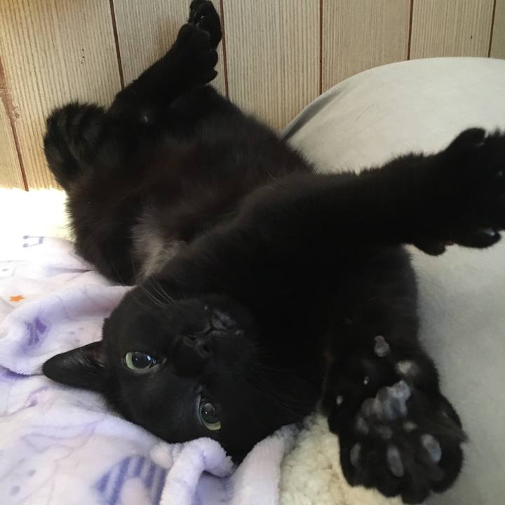 4bea4f42 822e 4e6c 9383 cc3ba12f1edc 1512427050019