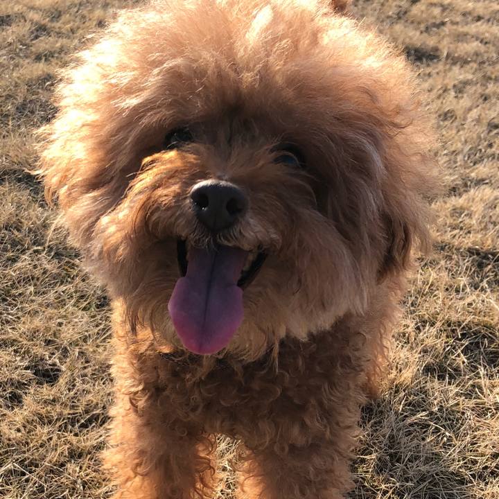 4bea73ab 93fc 455b 8d8b 5feb0f3fe511 1549427191628