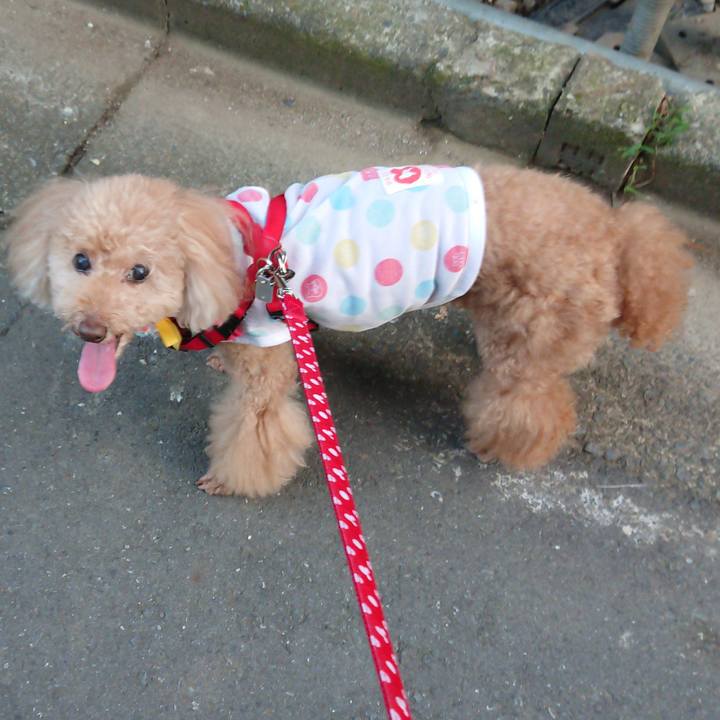 4bea93f4 c7b3 4b58 a485 2bc9f4570241 1596338901881