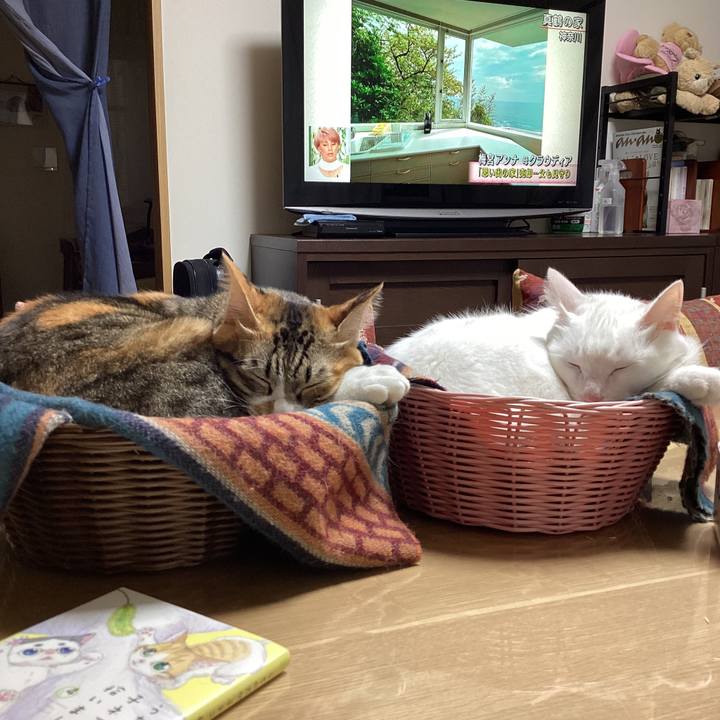 4beaa2c3 e729 461e 9f8f 8b8cba381371 1669177438690